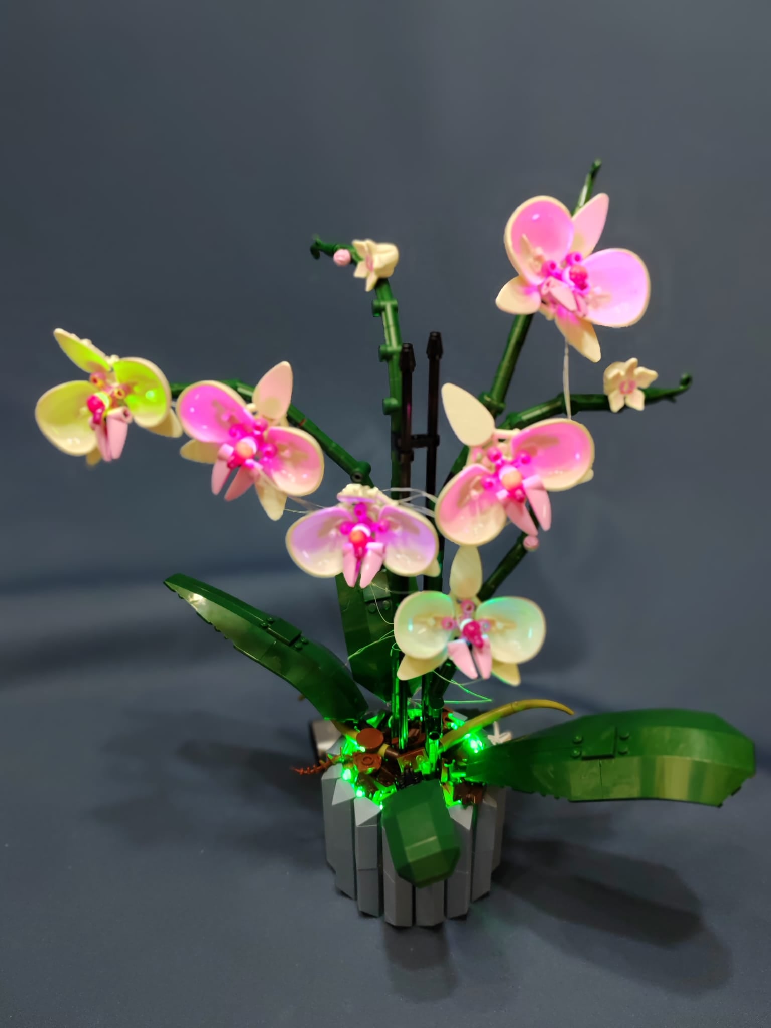 Lego - Creator Expert - 10311 - Botanical Collection - Orchid